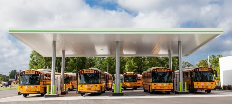 Buses